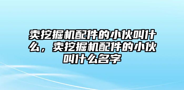 賣挖掘機配件的小伙叫什么，賣挖掘機配件的小伙叫什么名字