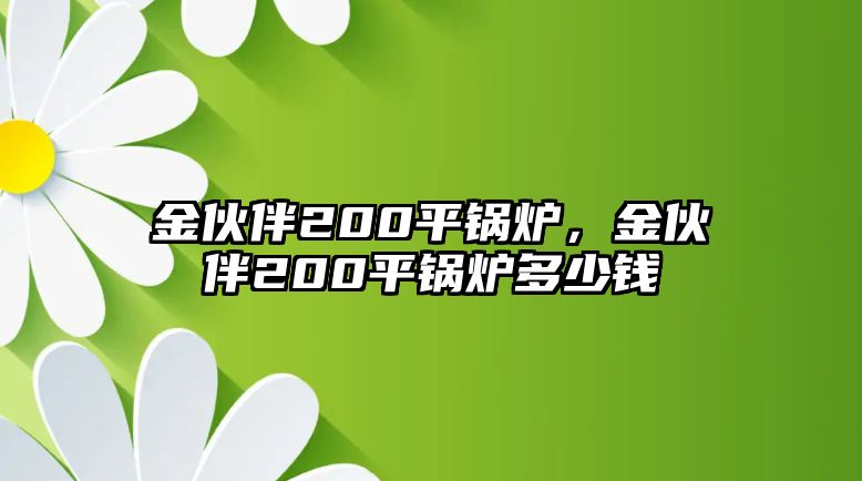 金伙伴200平鍋爐，金伙伴200平鍋爐多少錢