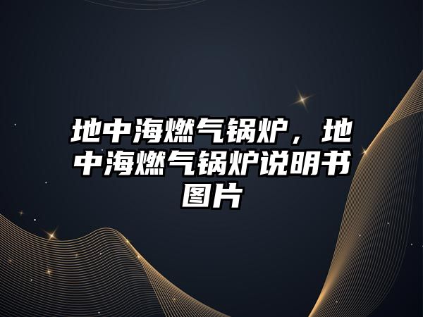 地中海燃?xì)忮仩t，地中海燃?xì)忮仩t說明書圖片