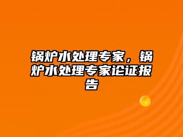 鍋爐水處理專家，鍋爐水處理專家論證報(bào)告