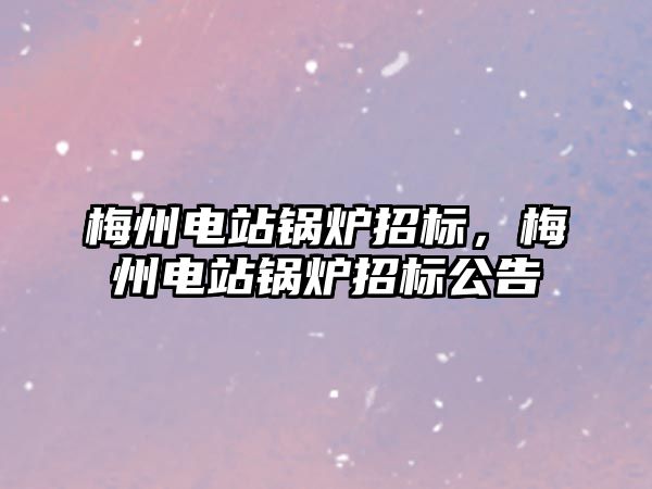 梅州電站鍋爐招標，梅州電站鍋爐招標公告