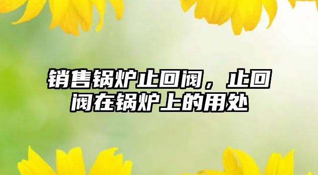 銷售鍋爐止回閥，止回閥在鍋爐上的用處