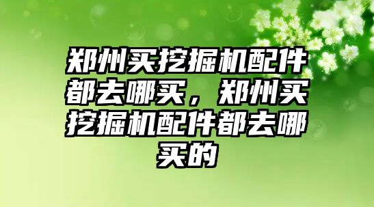 鄭州買挖掘機(jī)配件都去哪買，鄭州買挖掘機(jī)配件都去哪買的