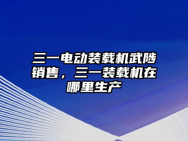 三一電動裝載機(jī)武陟銷售，三一裝載機(jī)在哪里生產(chǎn)