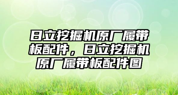 日立挖掘機(jī)原廠履帶板配件，日立挖掘機(jī)原廠履帶板配件圖