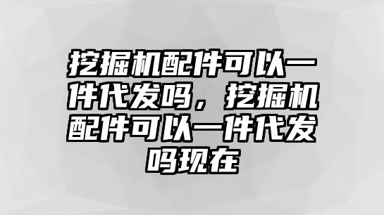 挖掘機配件可以一件代發(fā)嗎，挖掘機配件可以一件代發(fā)嗎現(xiàn)在