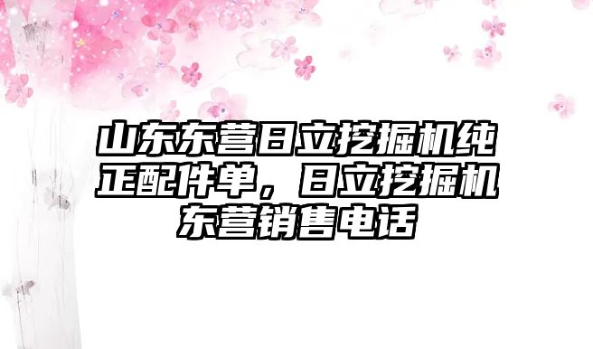 山東東營日立挖掘機純正配件單，日立挖掘機東營銷售電話