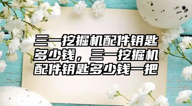 三一挖掘機配件鑰匙多少錢，三一挖掘機配件鑰匙多少錢一把