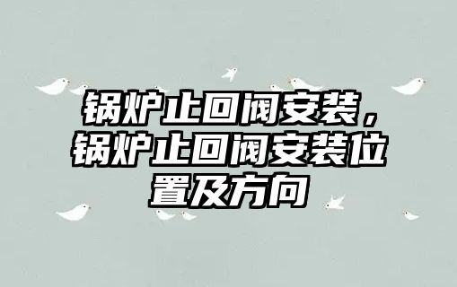 鍋爐止回閥安裝，鍋爐止回閥安裝位置及方向