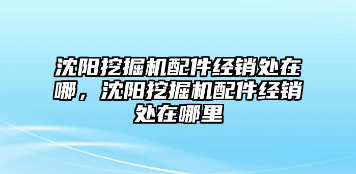 沈陽(yáng)挖掘機(jī)配件經(jīng)銷處在哪，沈陽(yáng)挖掘機(jī)配件經(jīng)銷處在哪里