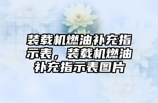 裝載機(jī)燃油補(bǔ)充指示表，裝載機(jī)燃油補(bǔ)充指示表圖片