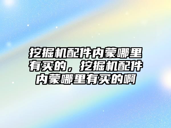 挖掘機配件內蒙哪里有買的，挖掘機配件內蒙哪里有買的啊