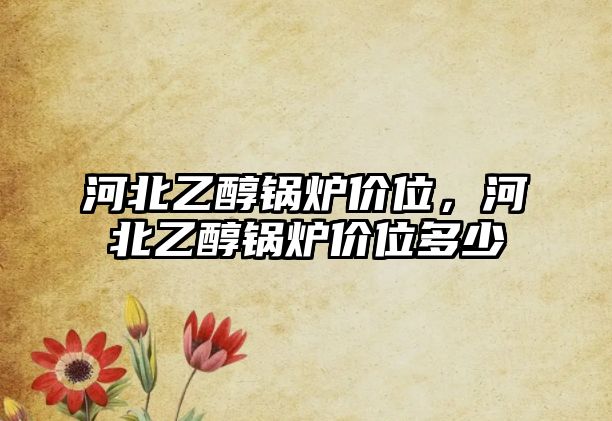 河北乙醇鍋爐價(jià)位，河北乙醇鍋爐價(jià)位多少