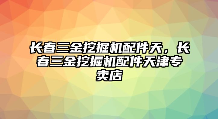 長春三金挖掘機(jī)配件天，長春三金挖掘機(jī)配件天津?qū)Ｙu店