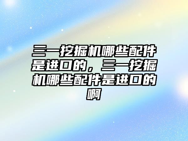 三一挖掘機哪些配件是進口的，三一挖掘機哪些配件是進口的啊