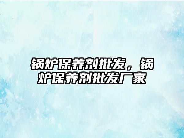 鍋爐保養(yǎng)劑批發(fā)，鍋爐保養(yǎng)劑批發(fā)廠家