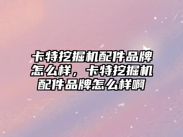 卡特挖掘機配件品牌怎么樣，卡特挖掘機配件品牌怎么樣啊