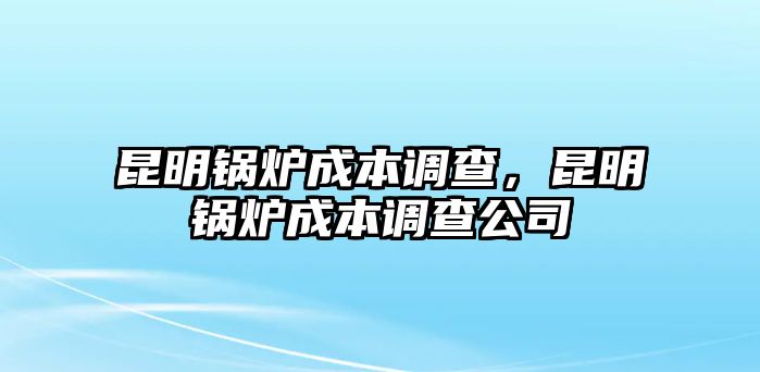 昆明鍋爐成本調(diào)查，昆明鍋爐成本調(diào)查公司