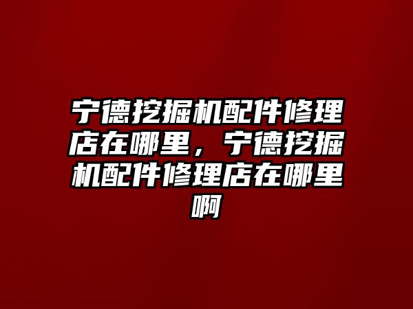 寧德挖掘機配件修理店在哪里，寧德挖掘機配件修理店在哪里啊