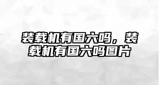 裝載機(jī)有國(guó)六嗎，裝載機(jī)有國(guó)六嗎圖片