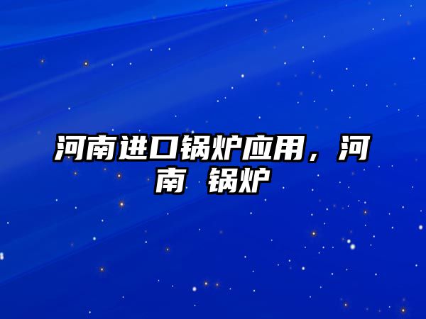 河南進(jìn)口鍋爐應(yīng)用，河南 鍋爐