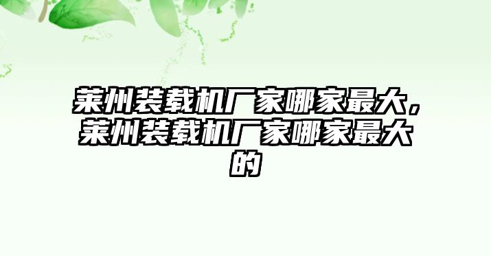 萊州裝載機廠家哪家最大，萊州裝載機廠家哪家最大的