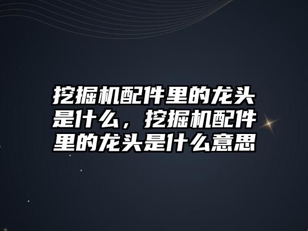 挖掘機(jī)配件里的龍頭是什么，挖掘機(jī)配件里的龍頭是什么意思