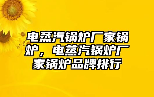 電蒸汽鍋爐廠家鍋爐，電蒸汽鍋爐廠家鍋爐品牌排行