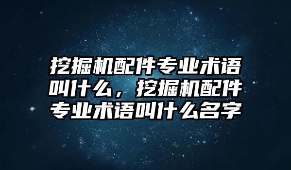 挖掘機(jī)配件專業(yè)術(shù)語叫什么，挖掘機(jī)配件專業(yè)術(shù)語叫什么名字