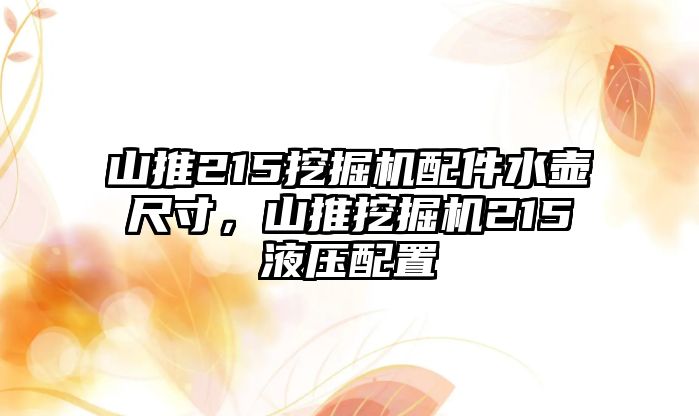 山推215挖掘機配件水壺尺寸，山推挖掘機215液壓配置