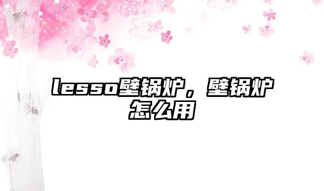 lesso壁鍋爐，壁鍋爐怎么用