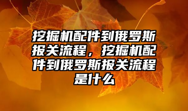 挖掘機配件到俄羅斯報關(guān)流程，挖掘機配件到俄羅斯報關(guān)流程是什么