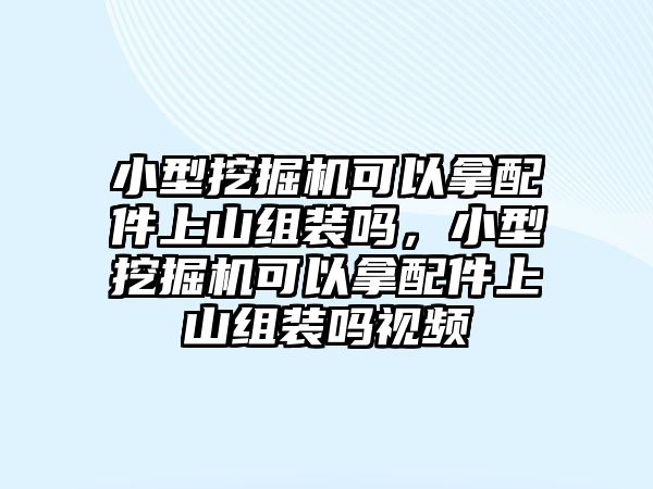 小型挖掘機(jī)可以拿配件上山組裝嗎，小型挖掘機(jī)可以拿配件上山組裝嗎視頻