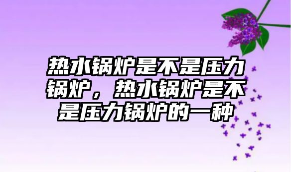 熱水鍋爐是不是壓力鍋爐，熱水鍋爐是不是壓力鍋爐的一種