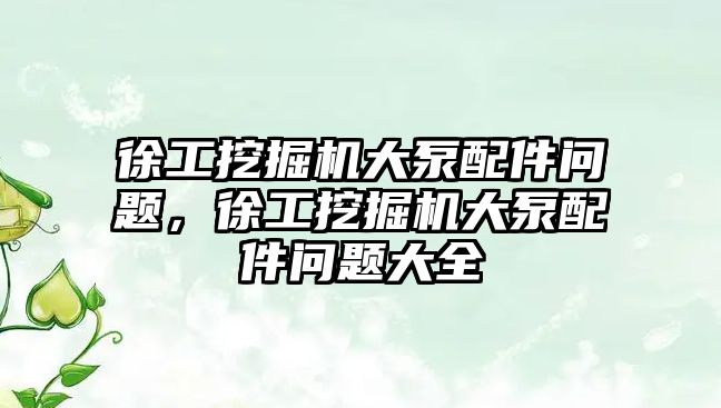 徐工挖掘機大泵配件問題，徐工挖掘機大泵配件問題大全