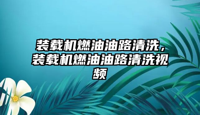 裝載機燃油油路清洗，裝載機燃油油路清洗視頻