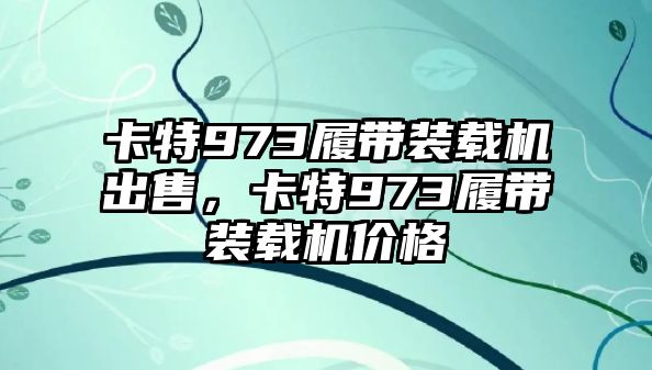 卡特973履帶裝載機(jī)出售，卡特973履帶裝載機(jī)價(jià)格