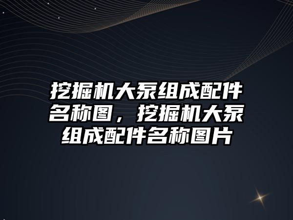 挖掘機(jī)大泵組成配件名稱圖，挖掘機(jī)大泵組成配件名稱圖片