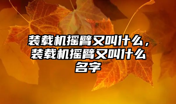 裝載機搖臂又叫什么，裝載機搖臂又叫什么名字