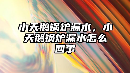 小天鵝鍋爐漏水，小天鵝鍋爐漏水怎么回事