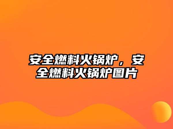 安全燃料火鍋爐，安全燃料火鍋爐圖片