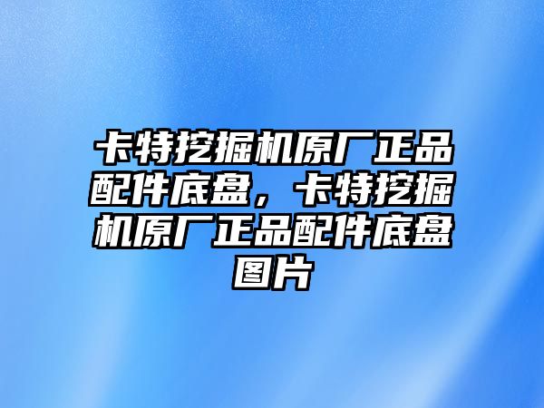 卡特挖掘機(jī)原廠正品配件底盤，卡特挖掘機(jī)原廠正品配件底盤圖片