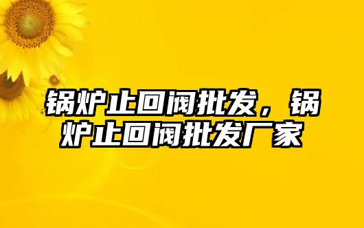 鍋爐止回閥批發(fā)，鍋爐止回閥批發(fā)廠家