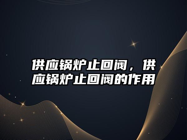 供應鍋爐止回閥，供應鍋爐止回閥的作用