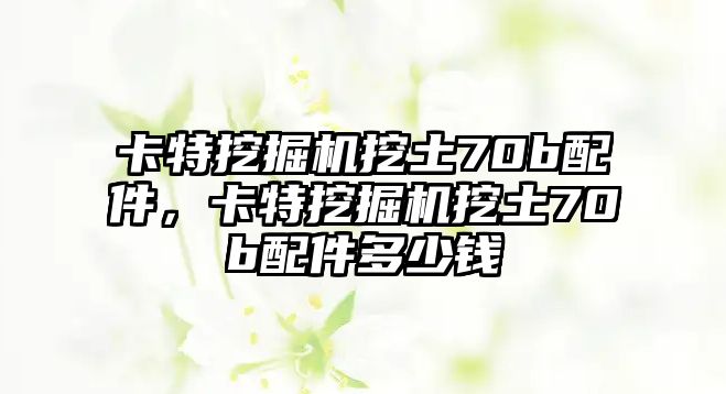 卡特挖掘機(jī)挖土70b配件，卡特挖掘機(jī)挖土70b配件多少錢