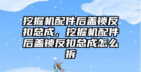 挖掘機(jī)配件后蓋鎖反扣總成，挖掘機(jī)配件后蓋鎖反扣總成怎么拆