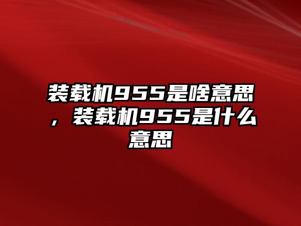 裝載機(jī)955是啥意思，裝載機(jī)955是什么意思