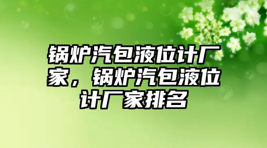 鍋爐汽包液位計廠家，鍋爐汽包液位計廠家排名