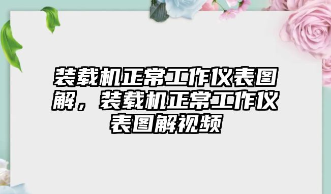 裝載機(jī)正常工作儀表圖解，裝載機(jī)正常工作儀表圖解視頻