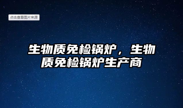 生物質(zhì)免檢鍋爐，生物質(zhì)免檢鍋爐生產(chǎn)商